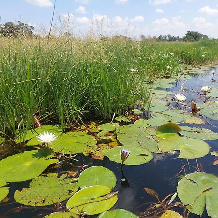 Golentle Home Stay Maun Bagian luar foto