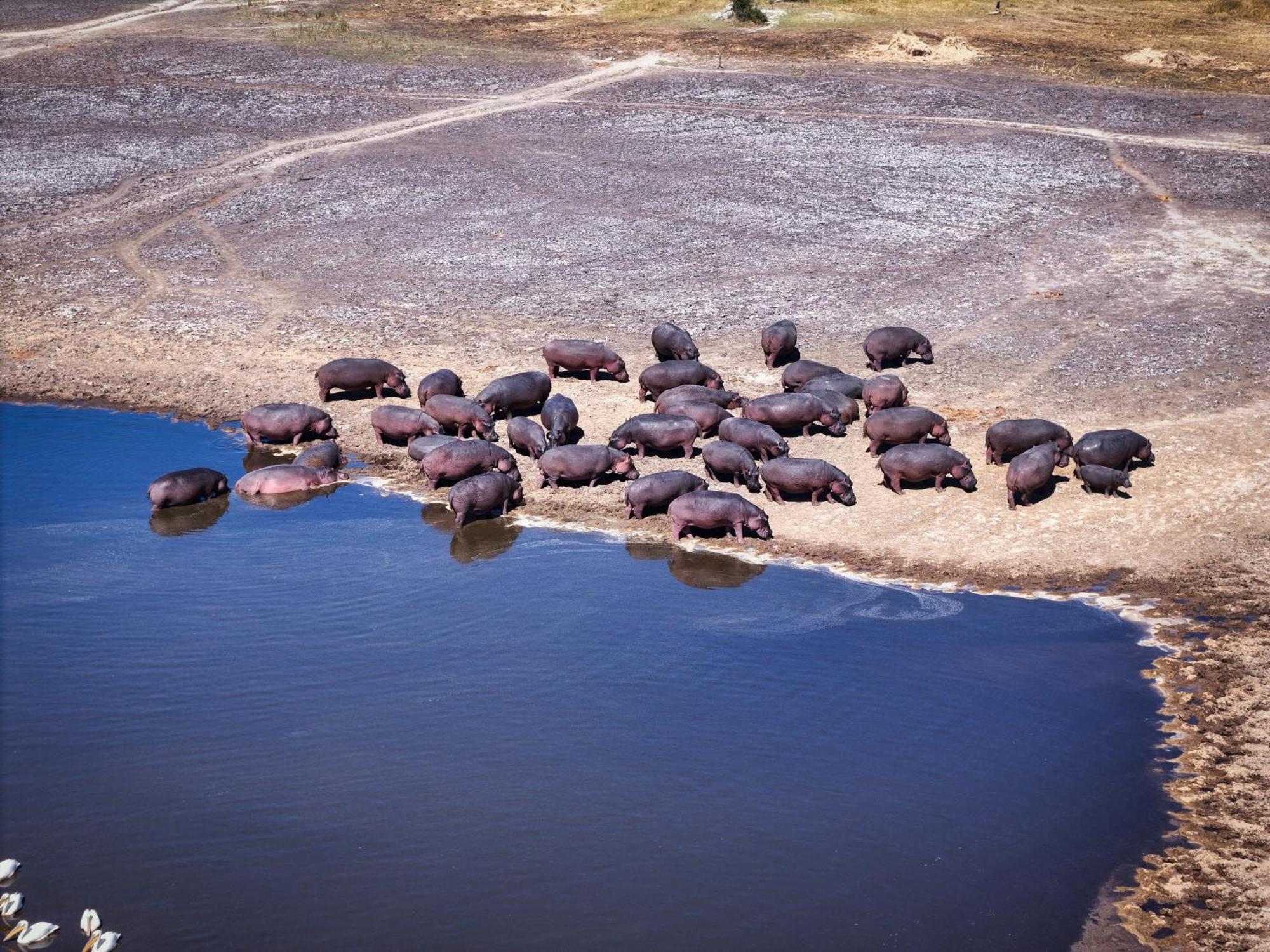 Golentle Home Stay Maun Bagian luar foto
