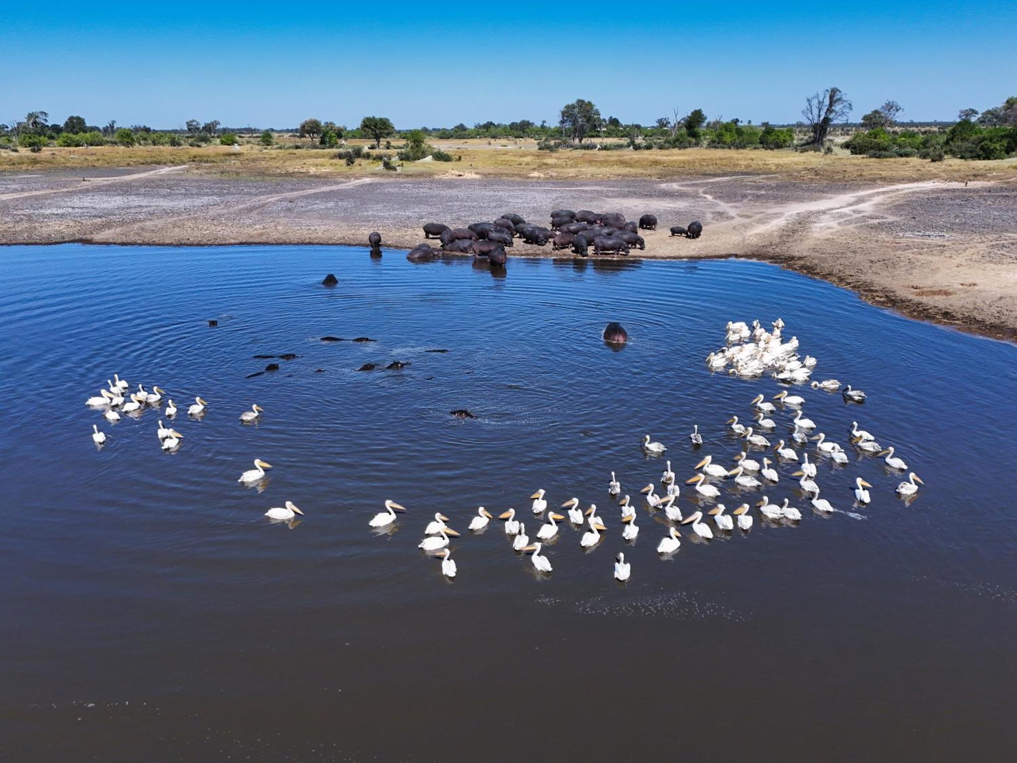 Golentle Home Stay Maun Bagian luar foto