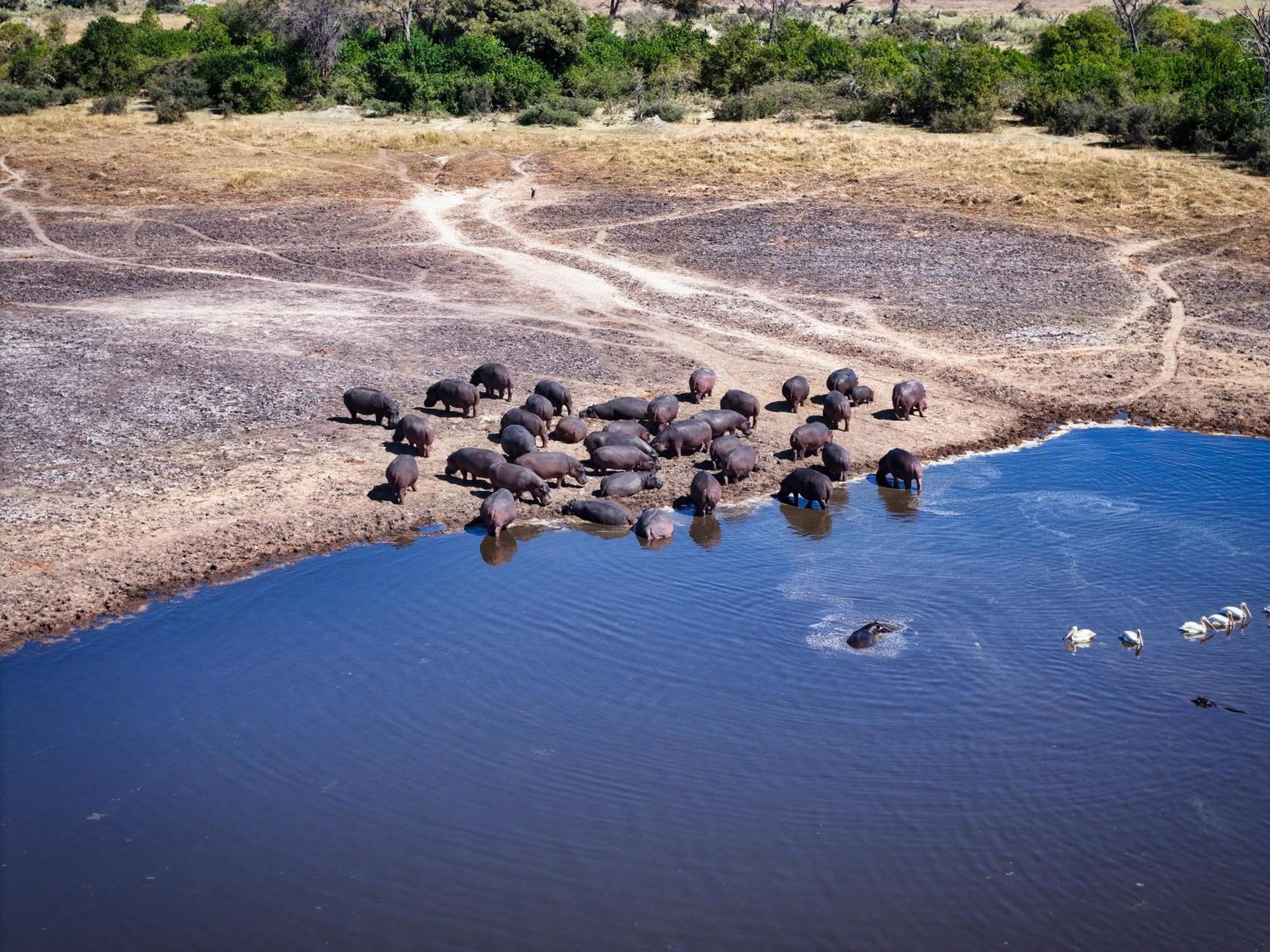 Golentle Home Stay Maun Bagian luar foto