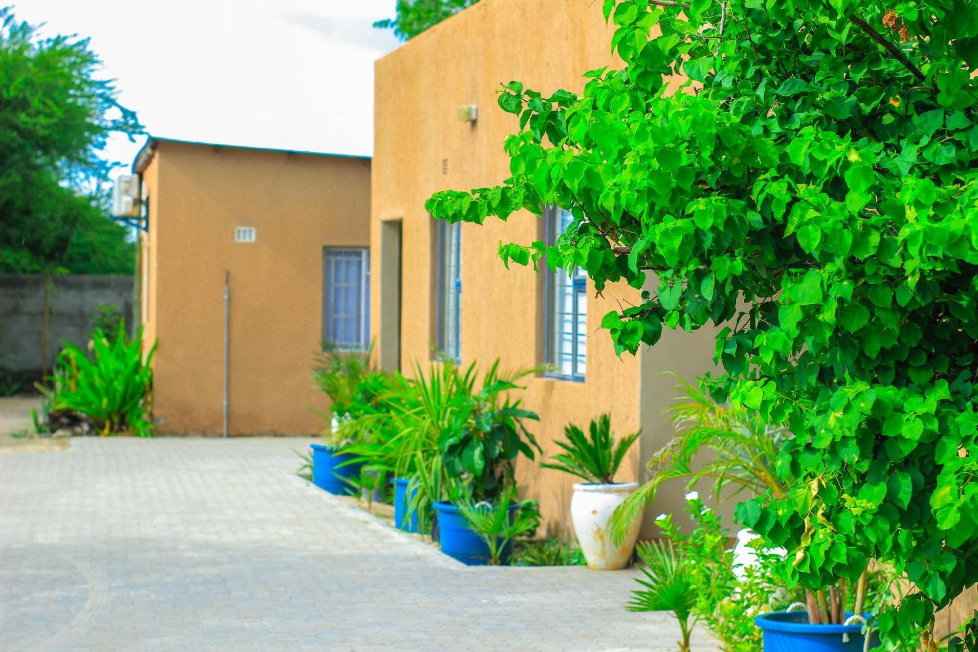 Golentle Home Stay Maun Bagian luar foto