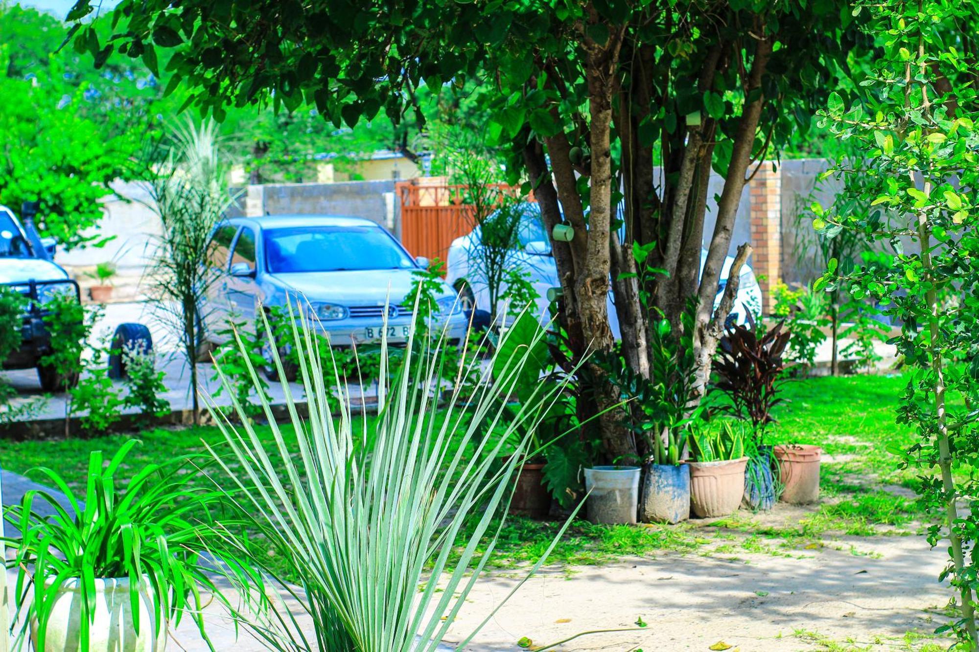 Golentle Home Stay Maun Bagian luar foto