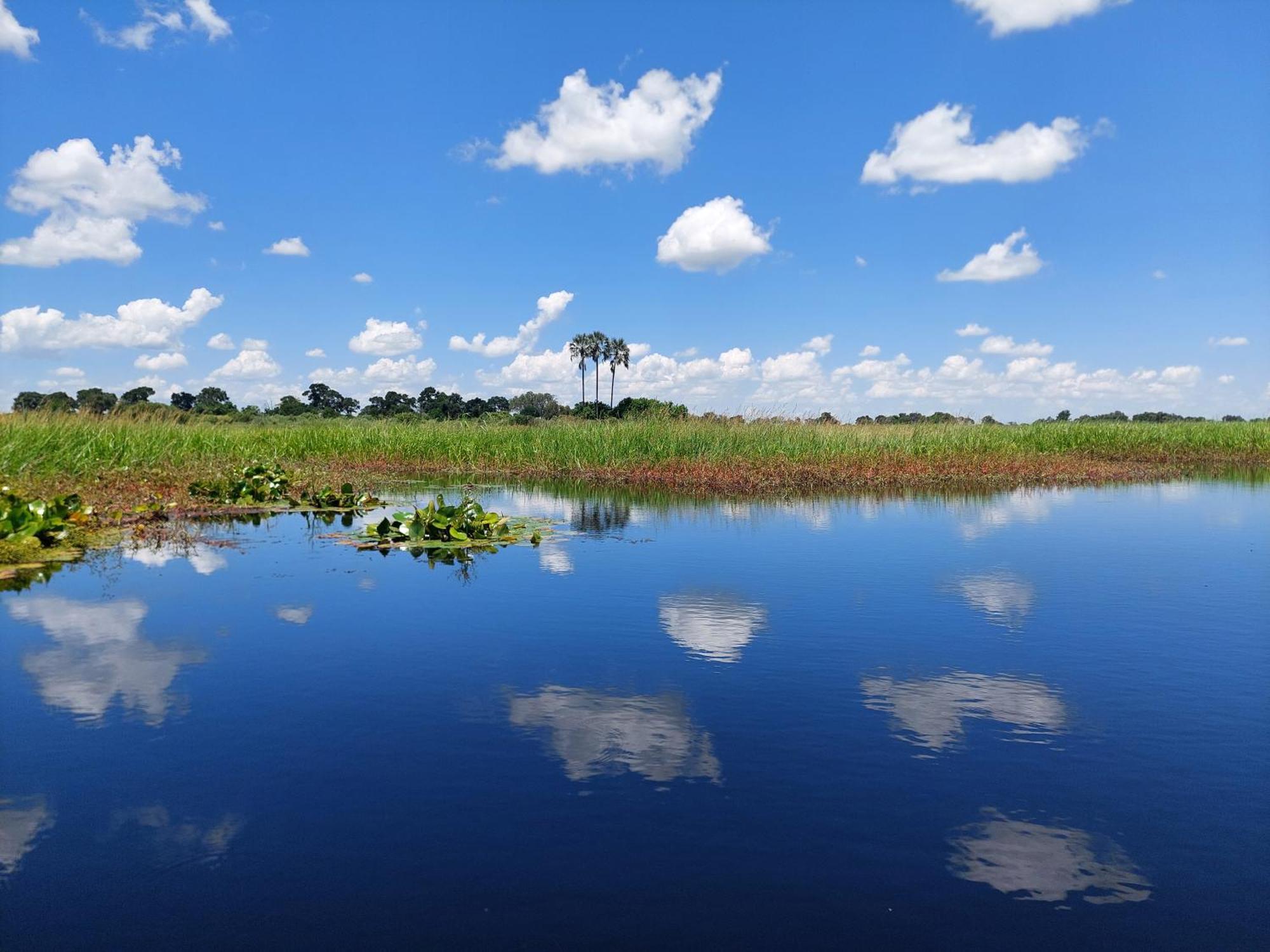 Golentle Home Stay Maun Bagian luar foto